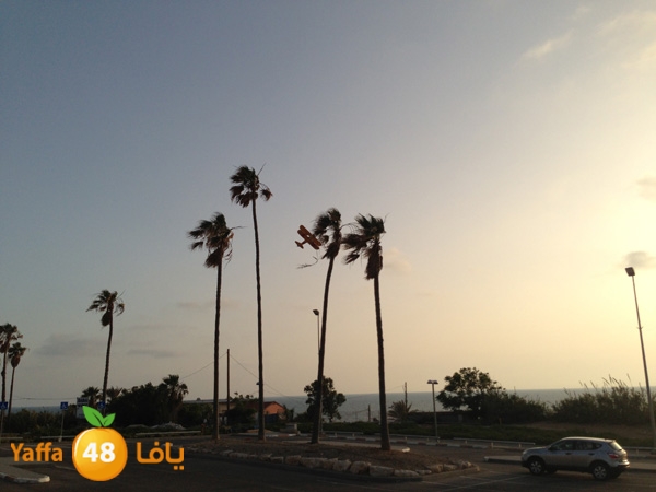 planetayar518 (4).JPG